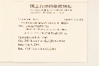 飛機草藏品圖，第2張