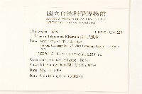 福山氏飛蓬藏品圖，第2張