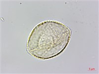 登錄號:S141242藏品圖，第3張