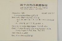 臺灣馬蘭藏品圖，第2張