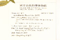 兔仔菜藏品圖，第2張