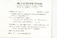 臺灣馬桑藏品圖，第2張