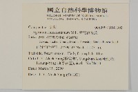 紫花霍香薊藏品圖，第2張