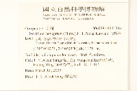 刀傷草藏品圖，第2張