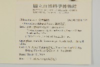 臺灣及己藏品圖，第2張