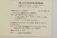 臺灣及己藏品圖，第2張