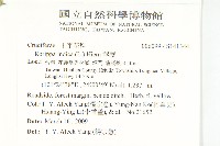 葶藶藏品圖，第2張