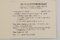 阿里山繁縷藏品圖，第2張