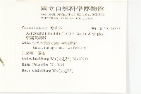 菜欒藤藏品圖，第2張