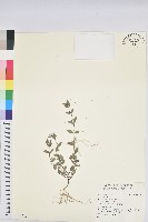 登錄號:S141515藏品圖，第1張