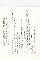 毛葉柿藏品圖，第2張