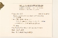 田代氏澤蘭藏品圖，第2張