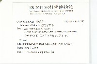 紅花野牽牛藏品圖，第2張