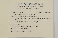 臺灣馬蘭藏品圖，第2張