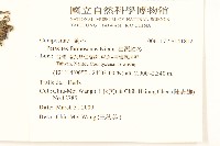 臺灣款冬藏品圖，第2張