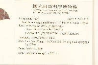 刀傷草藏品圖，第2張