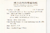 臺灣碎米薺藏品圖，第2張