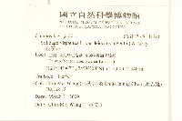 一枝黃花藏品圖，第2張