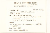 蜂斗菜、蛇頭菜藏品圖，第2張