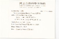 泥胡菜藏品圖，第2張