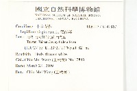 獨行菜藏品圖，第2張