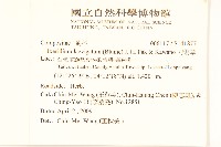 刀傷草藏品圖，第2張