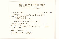 翅果假吐金菊藏品圖，第2張