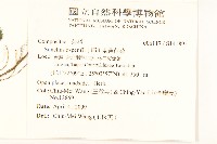 鬼苦苣菜藏品圖，第2張