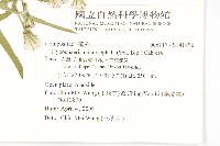 白花貓兒菊藏品圖，第2張