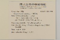 金腰箭舅藏品圖，第2張