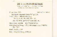 西洋蒲公英藏品圖，第2張