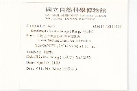 泥胡菜藏品圖，第2張