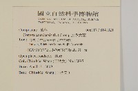 加拿大蓬藏品圖，第2張