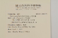 加拿大蓬藏品圖，第2張