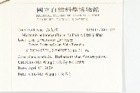 卵葉菜欒藤藏品圖，第2張