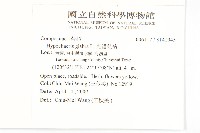 光貓兒菊藏品圖，第2張