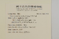 加拿大蓬藏品圖，第2張