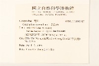 絲綿草藏品圖，第2張
