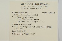 小葉藜藏品圖，第2張