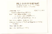 蔓黃金菊藏品圖，第2張