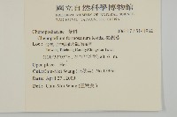 臺灣藜藏品圖，第2張