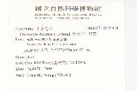 臭濱芥、臭薺藏品圖，第2張