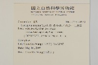 石胡荽、吐金草藏品圖，第2張