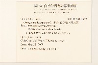 線球菊、田基黃藏品圖，第2張