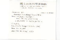 泥胡菜藏品圖，第2張