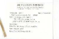 蒼耳、羊帶來藏品圖，第2張