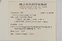 鈴木氏薊藏品圖，第2張