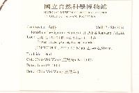 刀傷草藏品圖，第2張