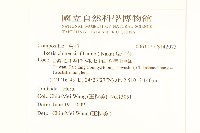 兔仔菜藏品圖，第2張