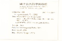 毛蓮菜藏品圖，第2張